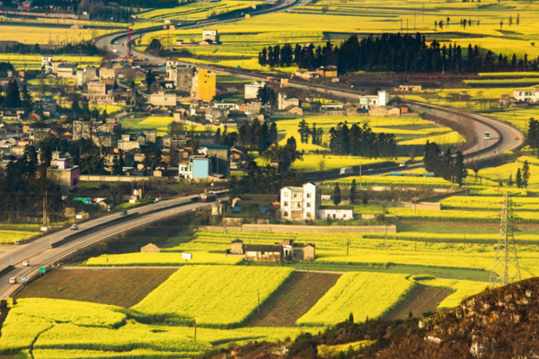 《山東新一輪“四減四增”三年行動(dòng)方案(2021-2023)》(圖1) 《山東新一輪“四減四增”三年行動(dòng)方案(2021-2023)》(圖1)